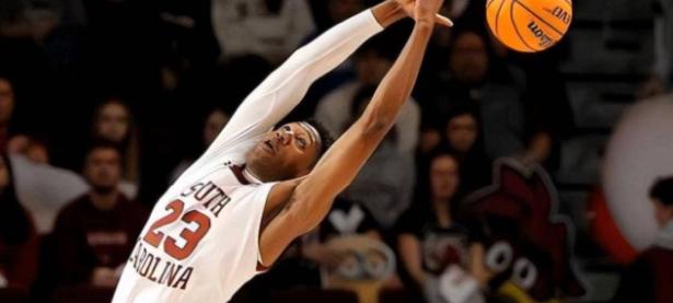 28圈娱乐-赛地聚焦——法国杯冲刺阶段热度飙升，孟菲斯灰熊再遭质疑，管理层满意，赛程密集仍需轮换的简单介绍